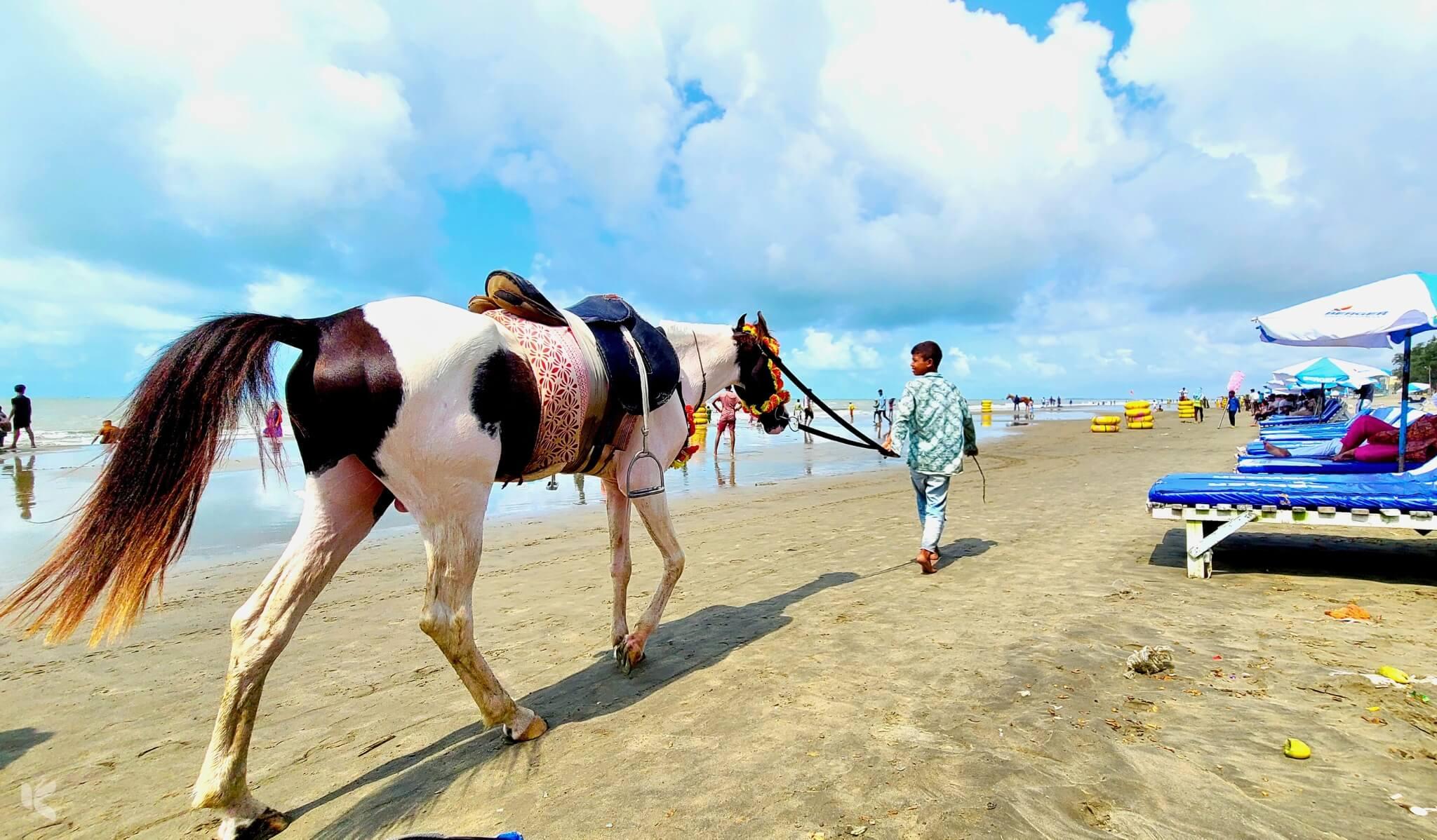 Decorated horse on the beach