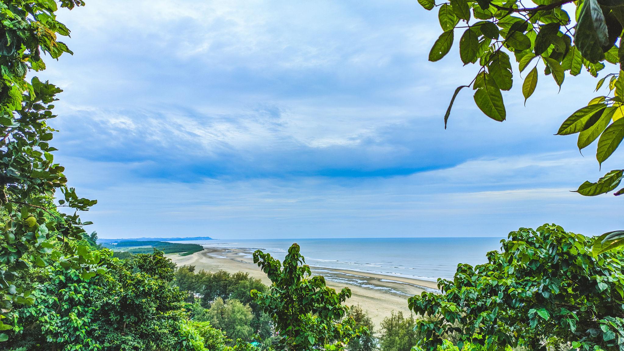 Serene beach viewpoint with trees