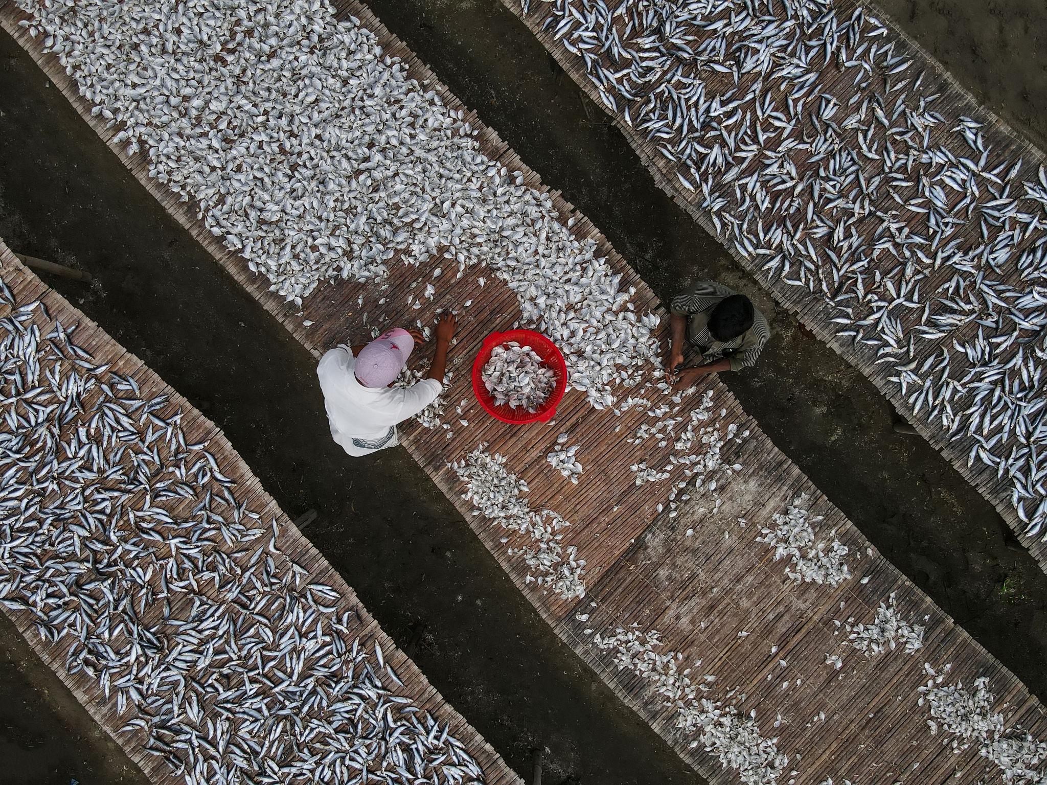 Dried fish fields aerial