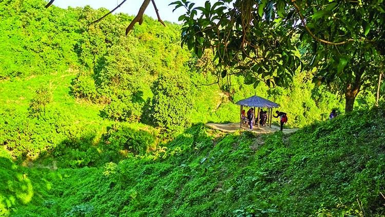 Himchari hills, Cox's Bazar