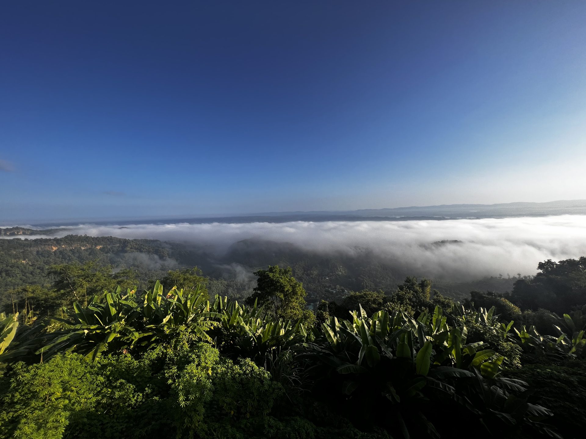 Morning cloud sitting low over the hills inland from Cox's Bazar