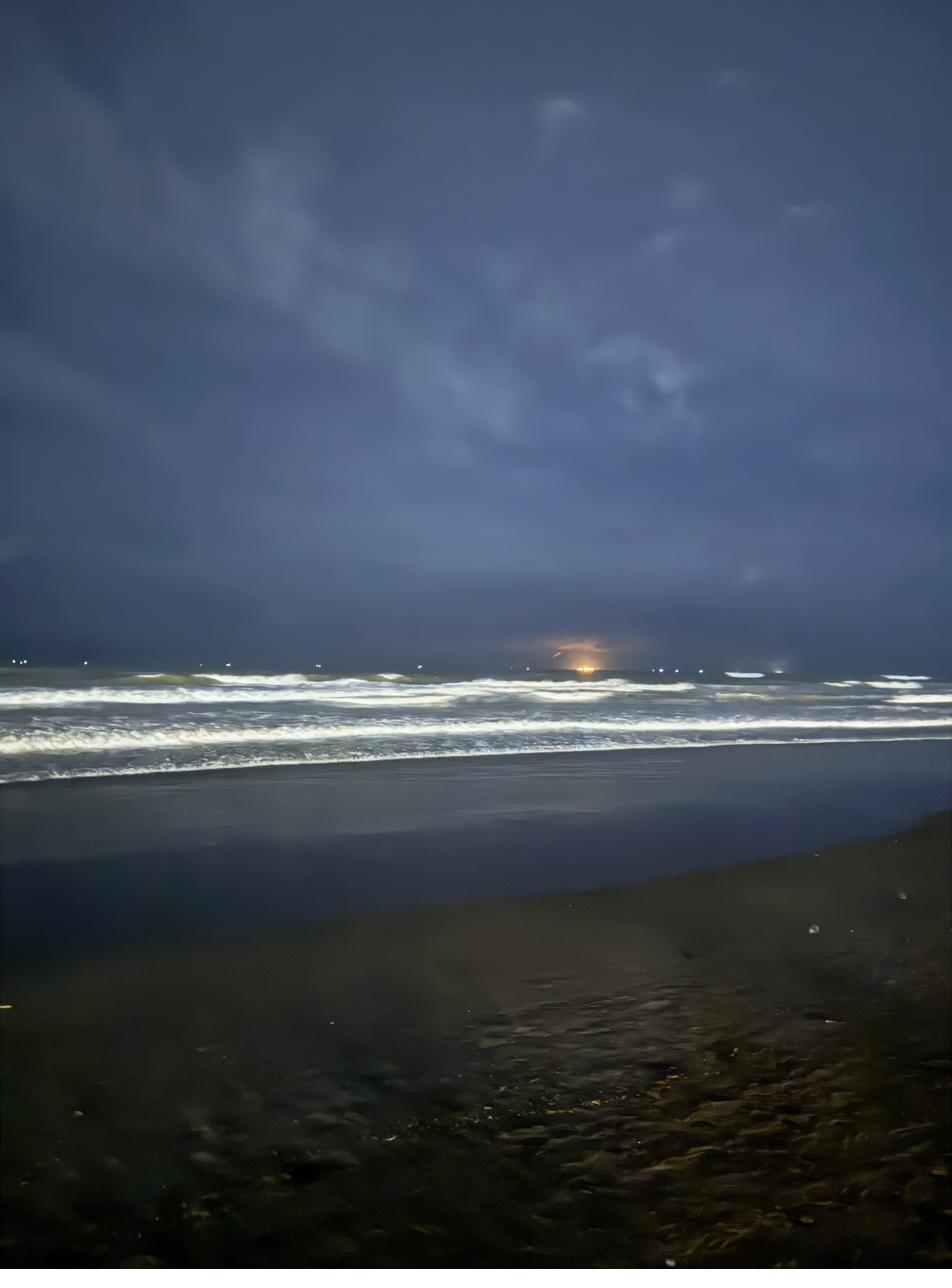 Cox's Bazar coastal safari