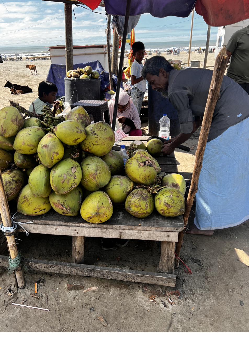 Cox's Bazar coastal safari
